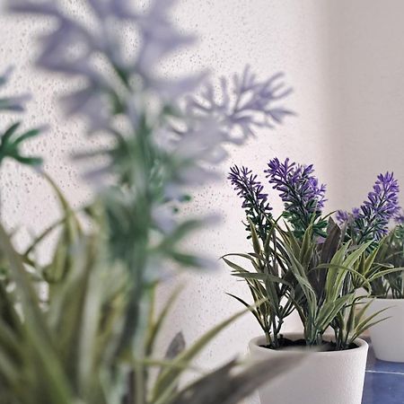 La Tappa Del Vignaiolo Home Mamoiada Eksteriør billede