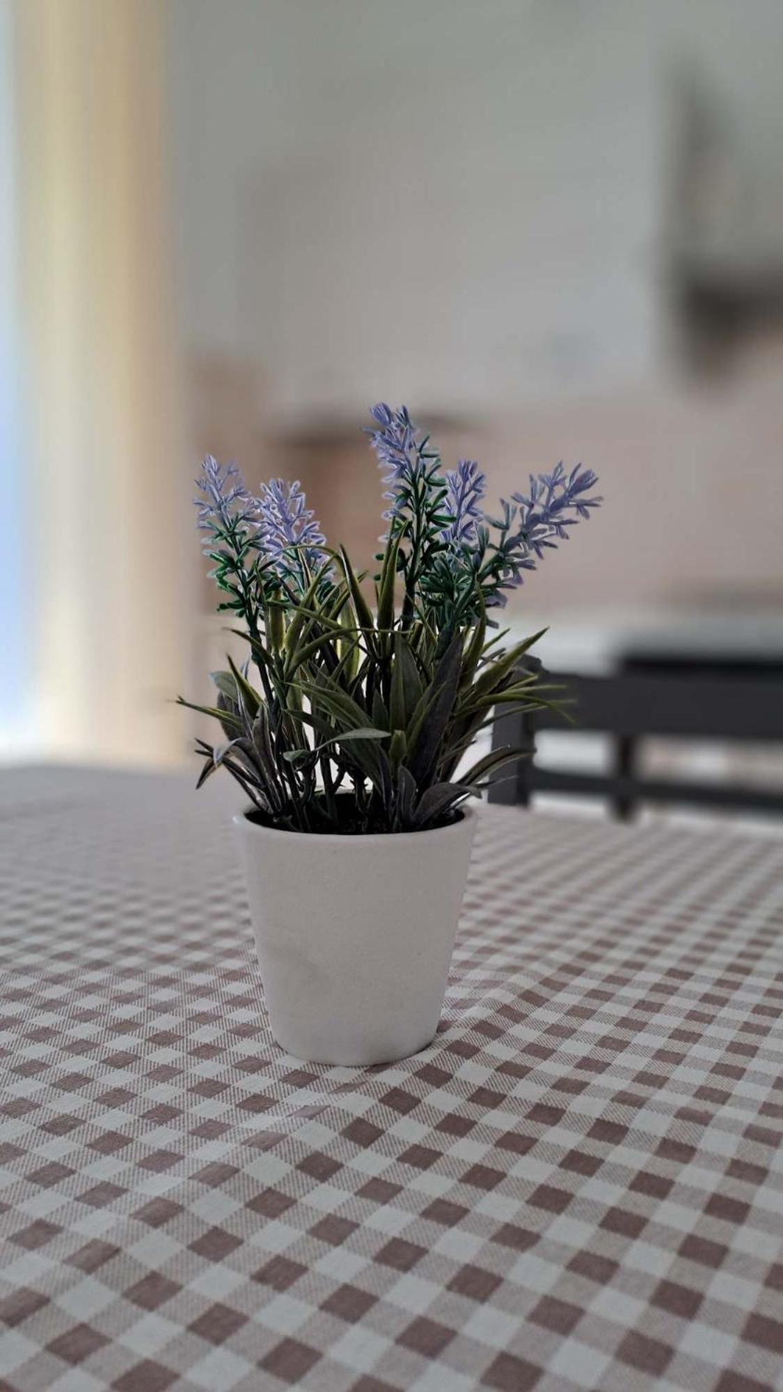 La Tappa Del Vignaiolo Home Mamoiada Eksteriør billede